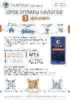 Срок уплаты налогов - 1 декабря!